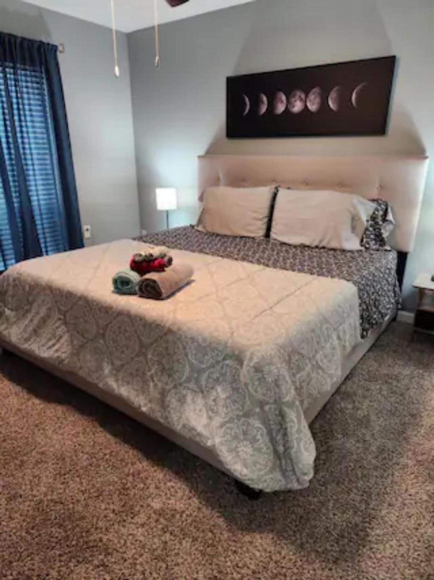 יוסטון Blue Shark *B501* @ Medical Center 1Br Modern King Apartment With Private Patio מראה חיצוני תמונה